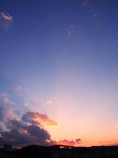 優しい世界に向かってゆく。