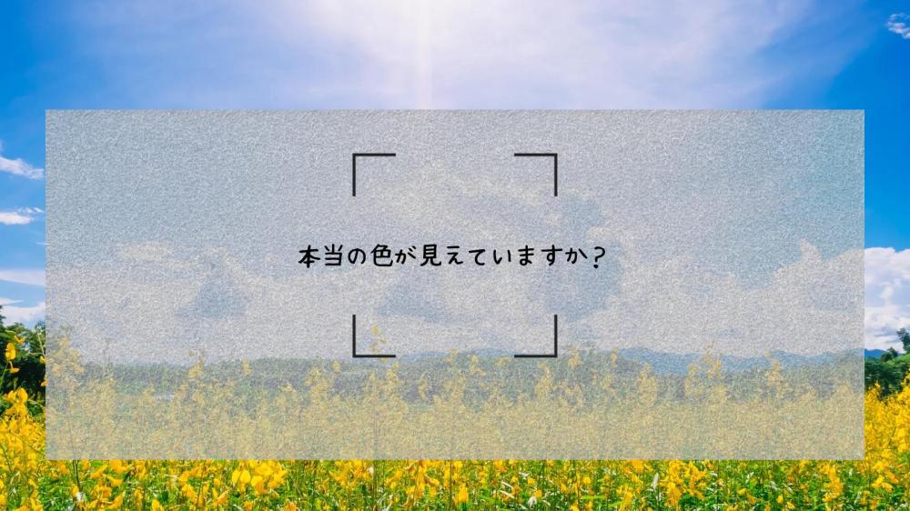 私の望みに気づく時引き寄せるものは変わる