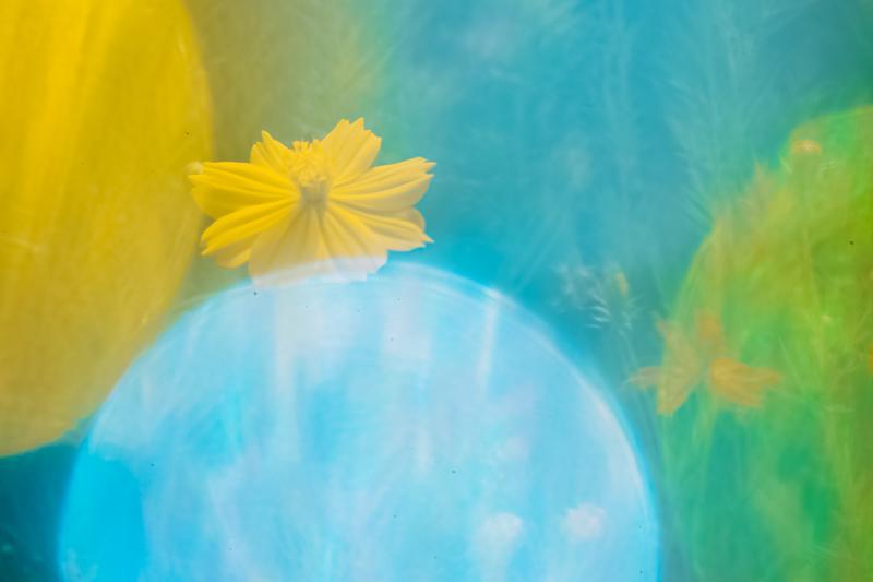 来年の運気の流れを決めるのは・・