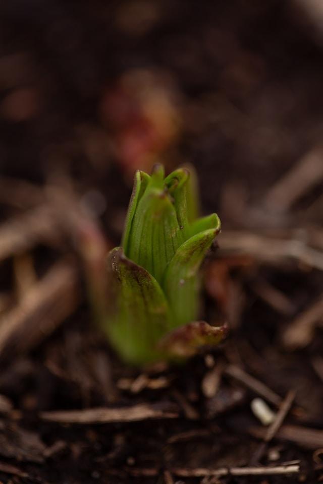 悩むことは素晴らしい