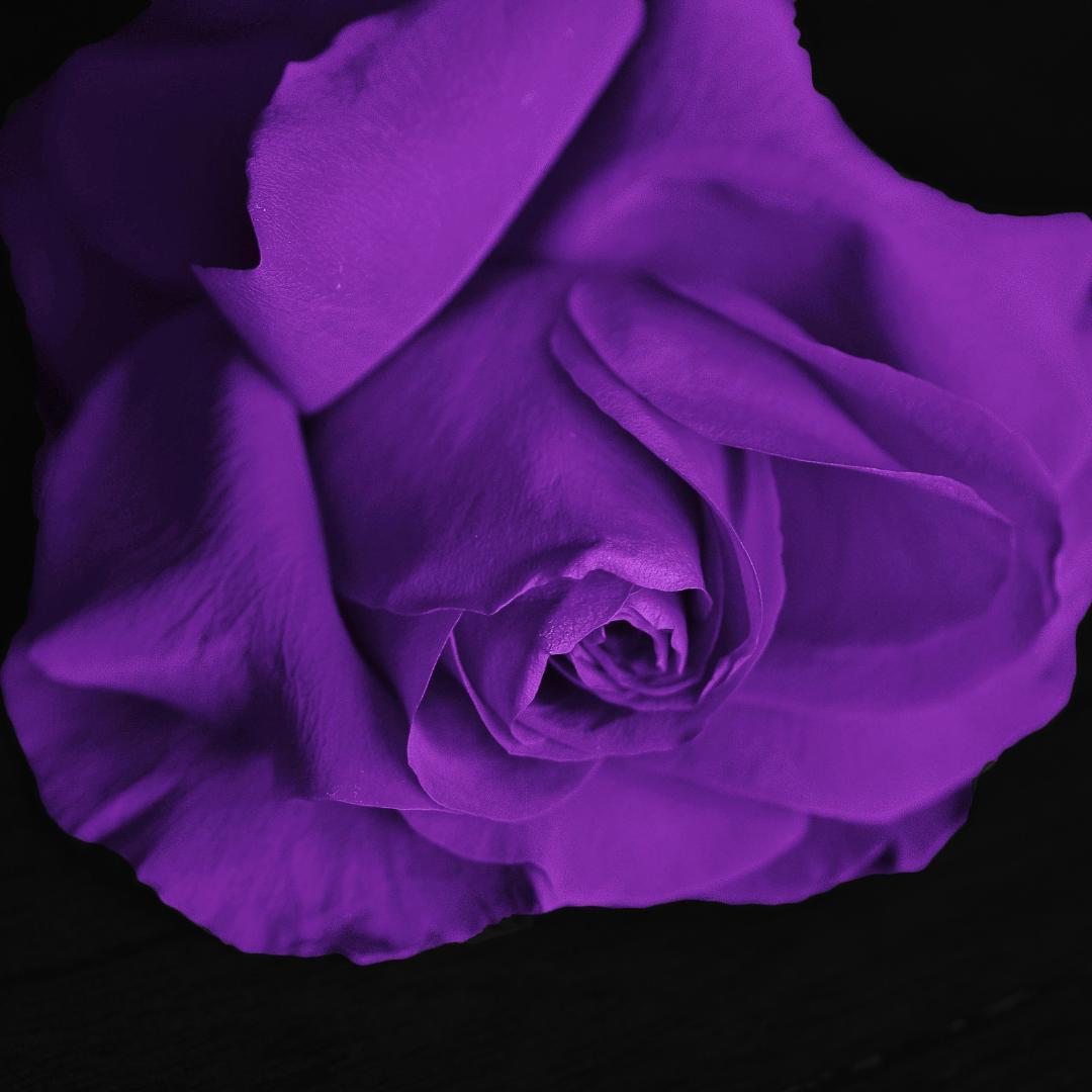 潜在意識のブレーキを外そう