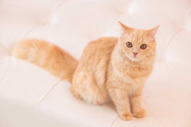 恋して迷った時のヒント