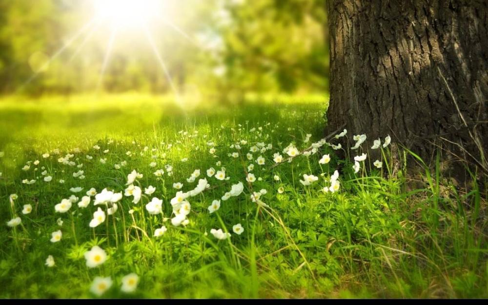 落ち込んだ気持ちを長く持たないで