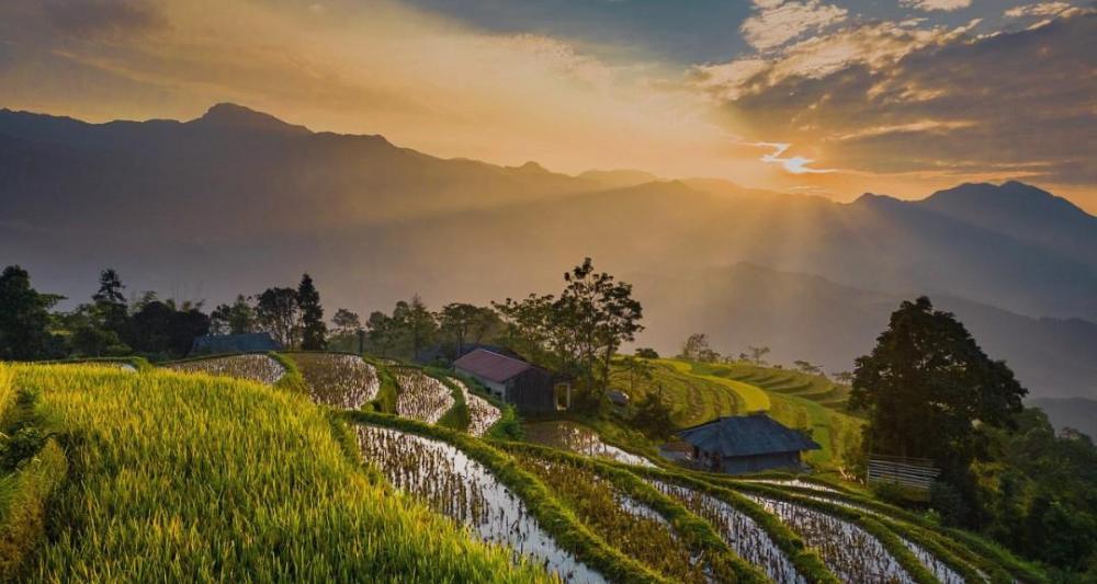 恋愛に関するブロックとは