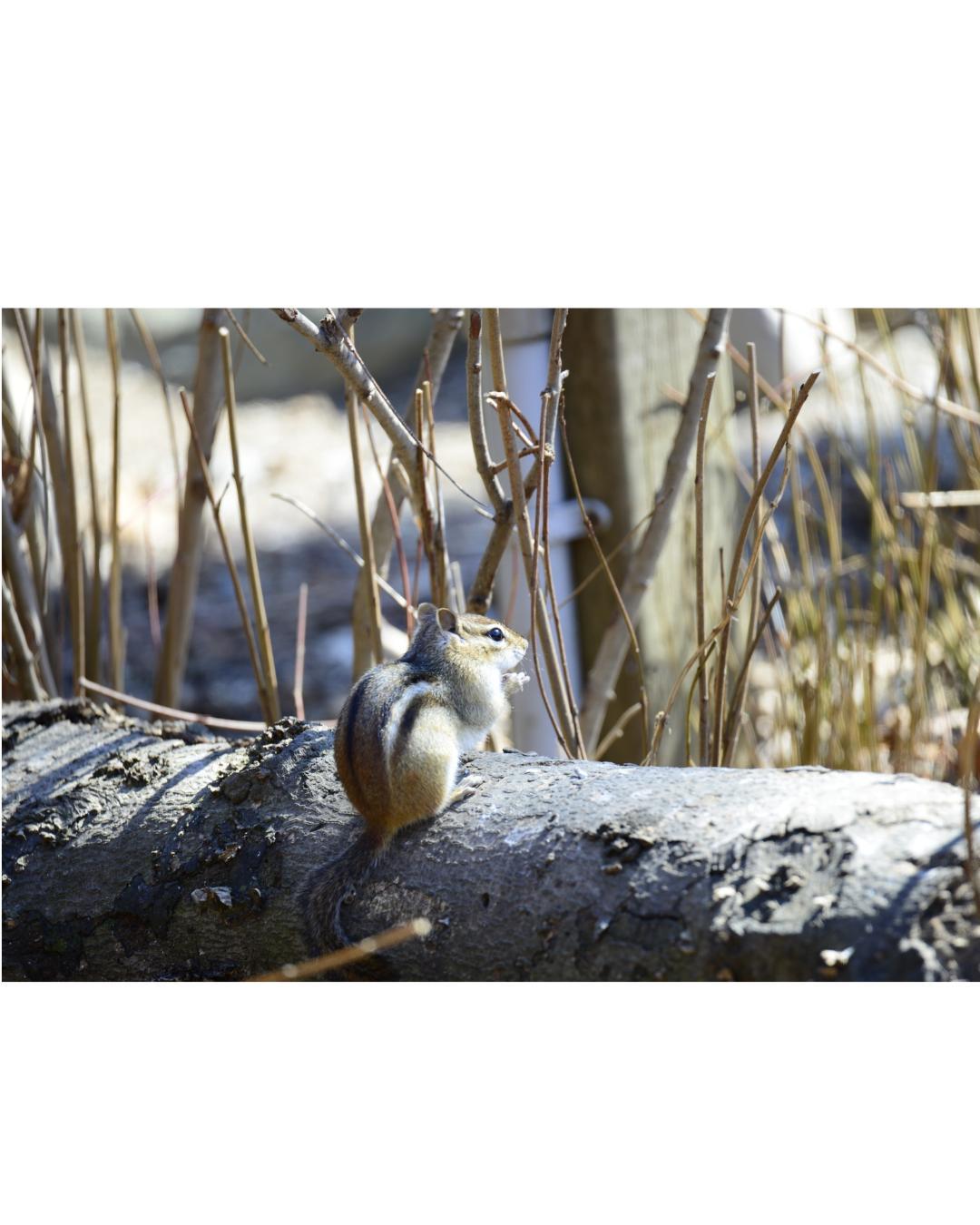 音と占い⑱未来を濁す彼