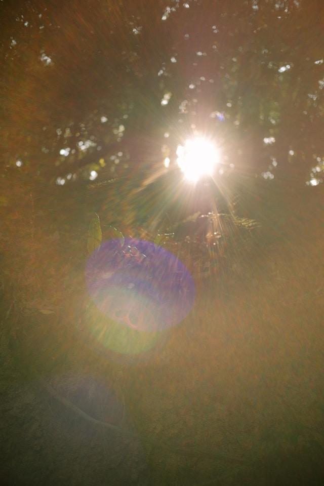 あなたには、揺れない中心がある