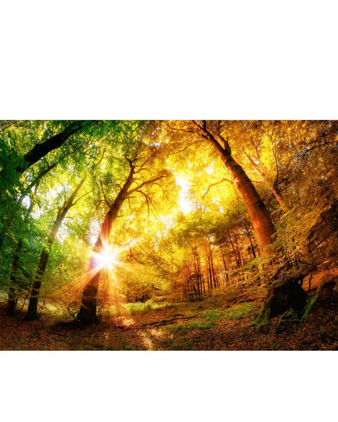 50.既読無視の本当の意味