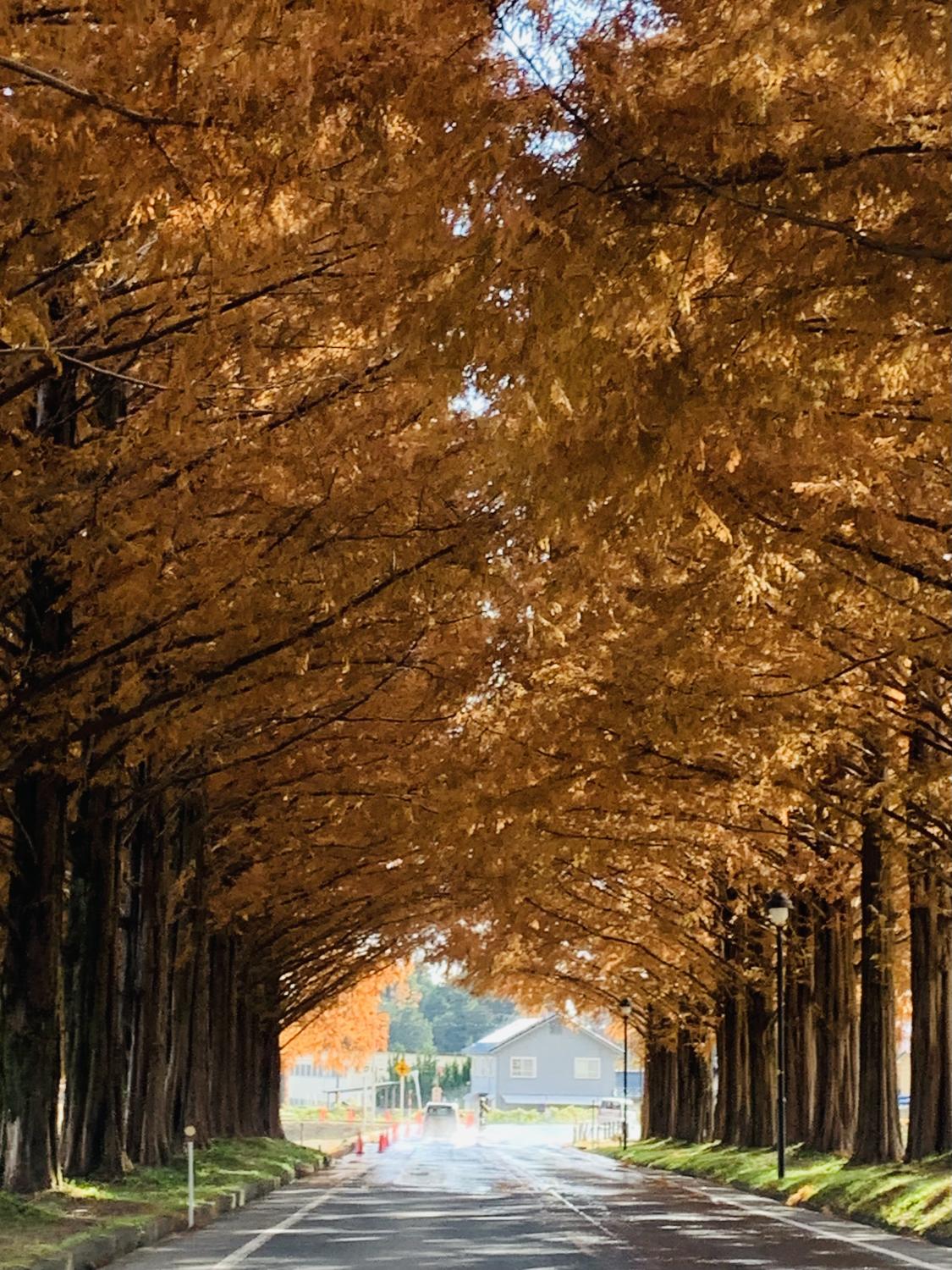 幸せなクリスマスと新年に向けて
