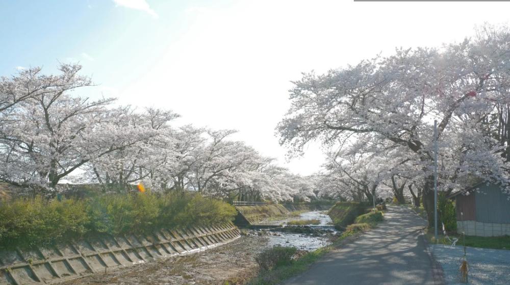 なかったことにしてきた気持ちへ