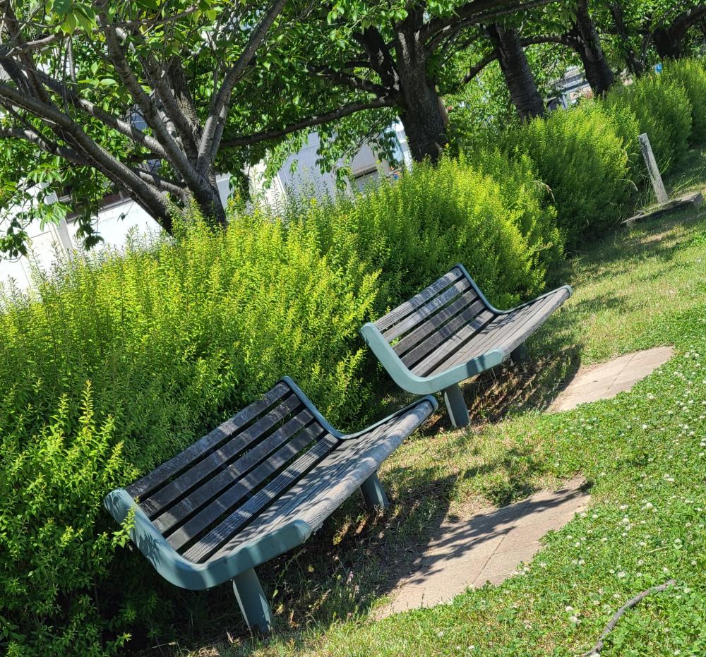 理想のプロポーズ