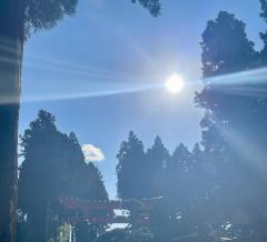 ツインレイからのツインソウル？！