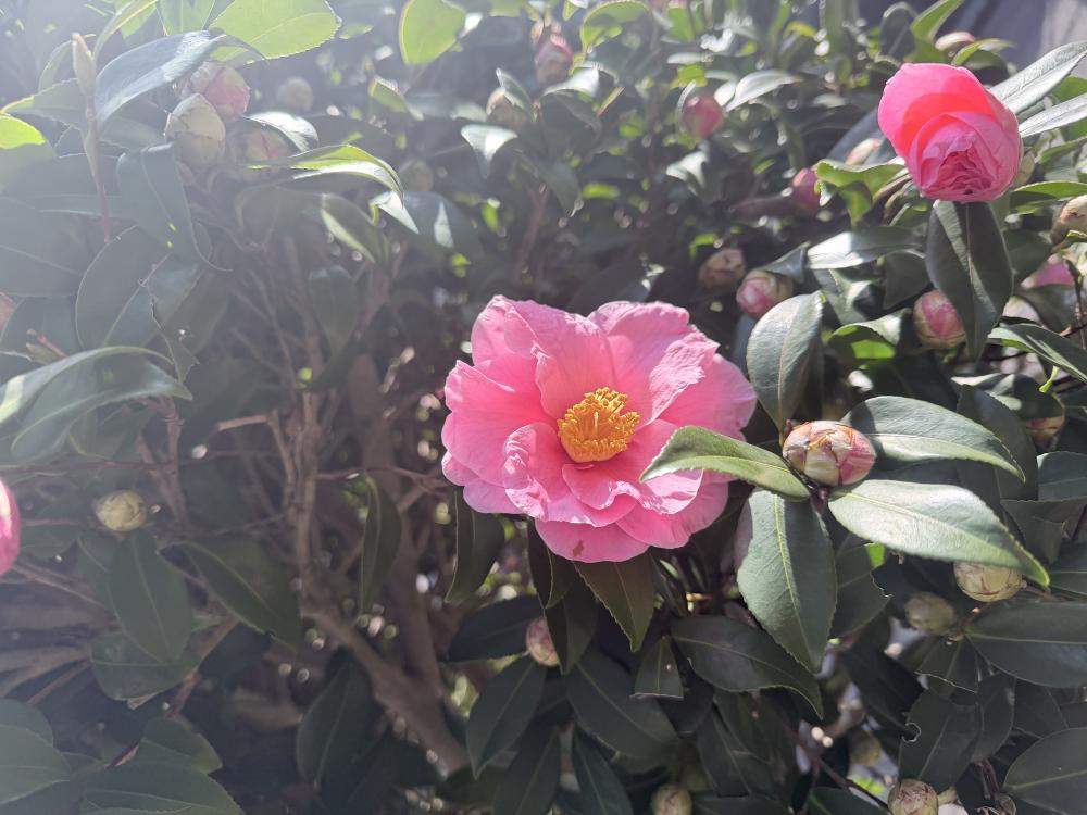 レンズ一枚分の距離