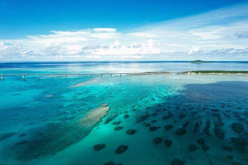 運命（未来）は・・