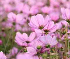 心の不安を和らげよう