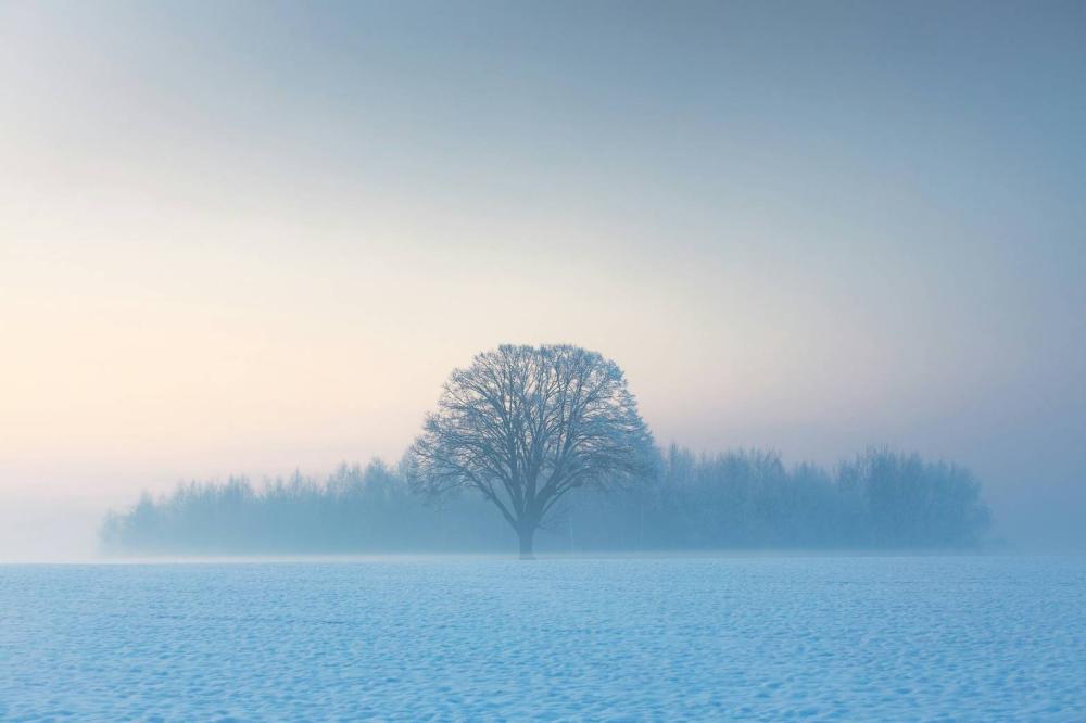 天国の人への想い☆②
