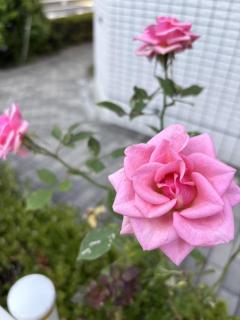 彼のことばかり気になるあなたへ