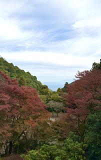 12月の過ごし方