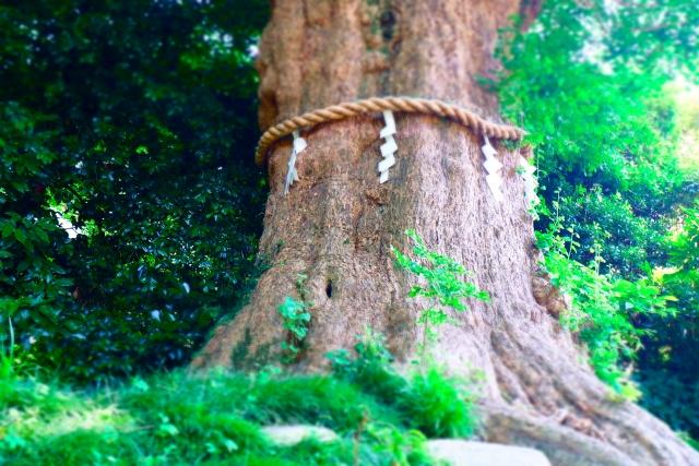 気を受け取る手を確認する方法