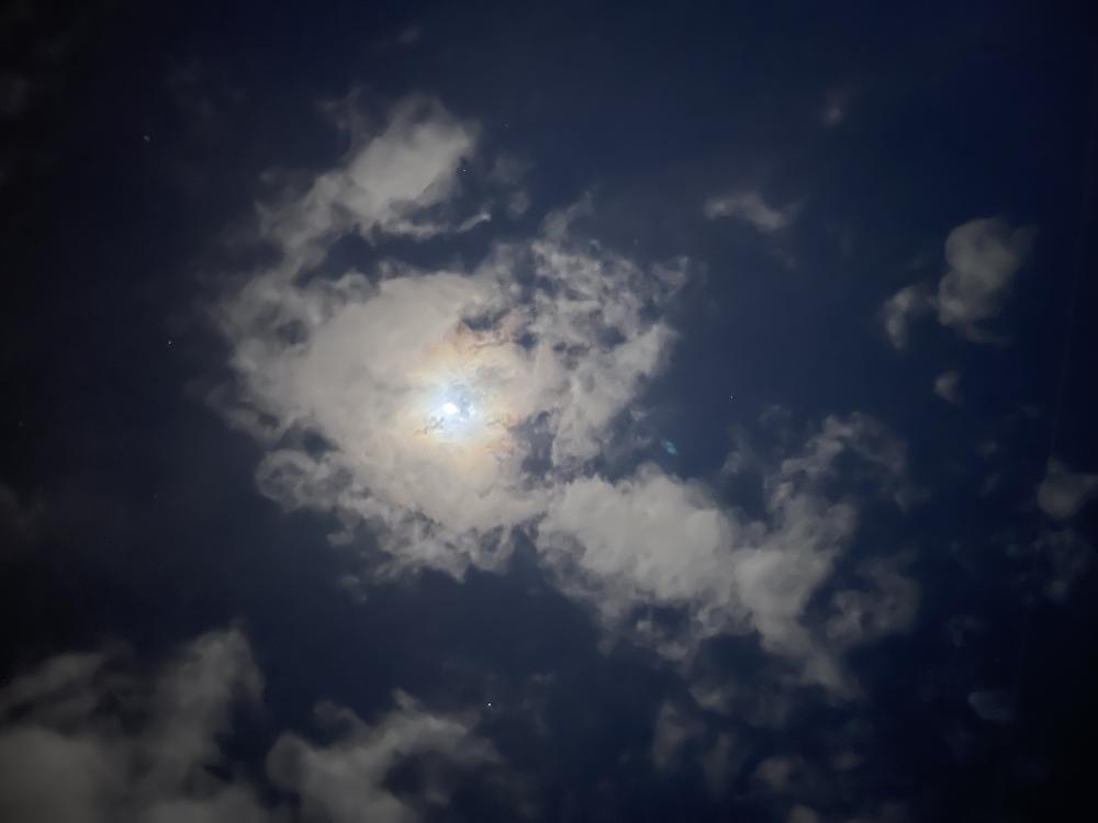 バレンタインでー！？