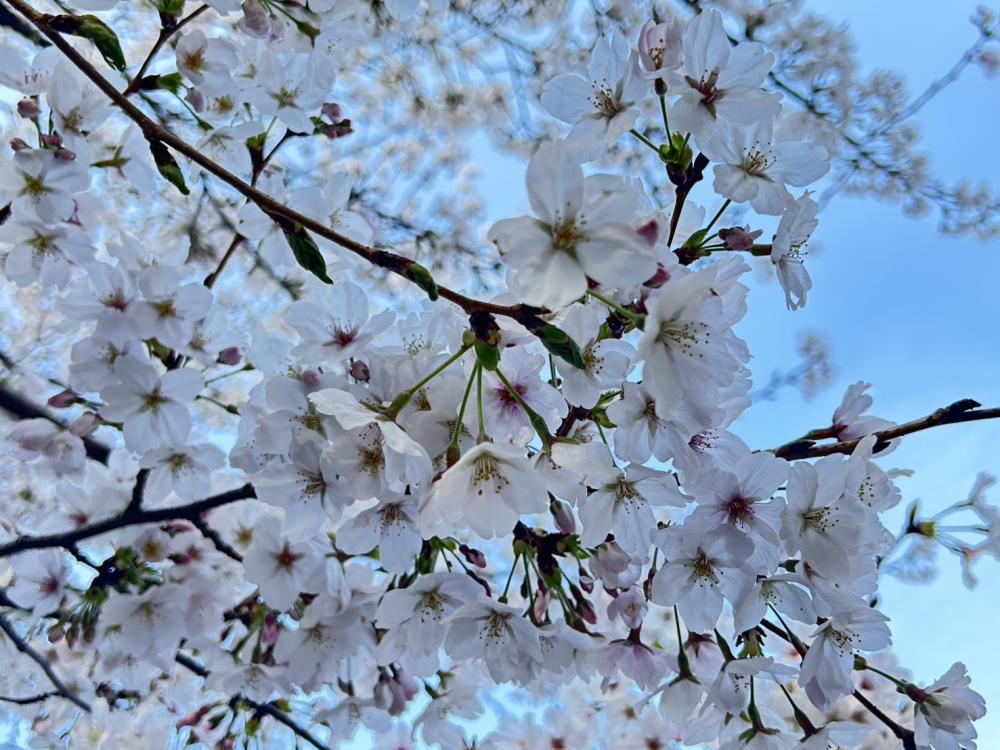 3月の終わりに感じるモヤモヤの正体