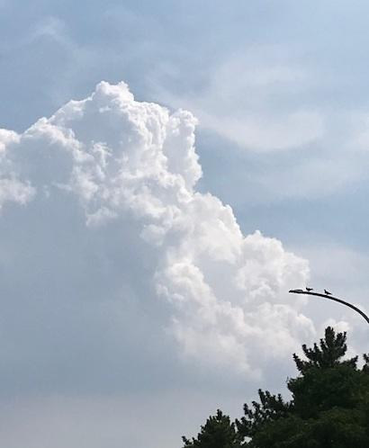 もくもく 入道雲