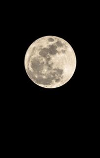 ビーバームーン