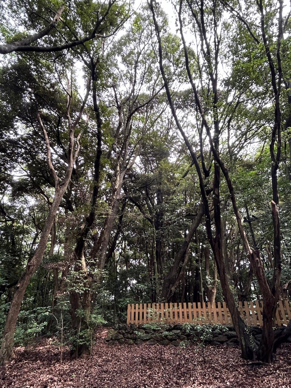 パワースポット