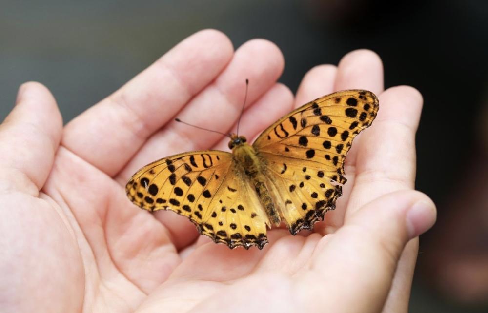 引き寄せ♡呼び戻し