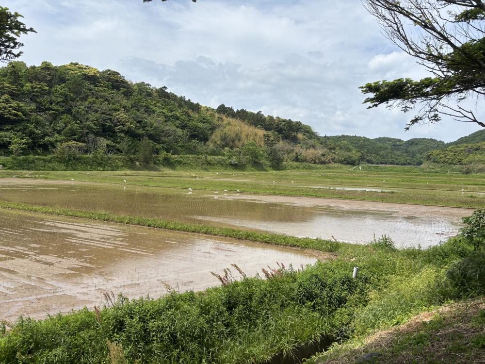 日常に戻りました