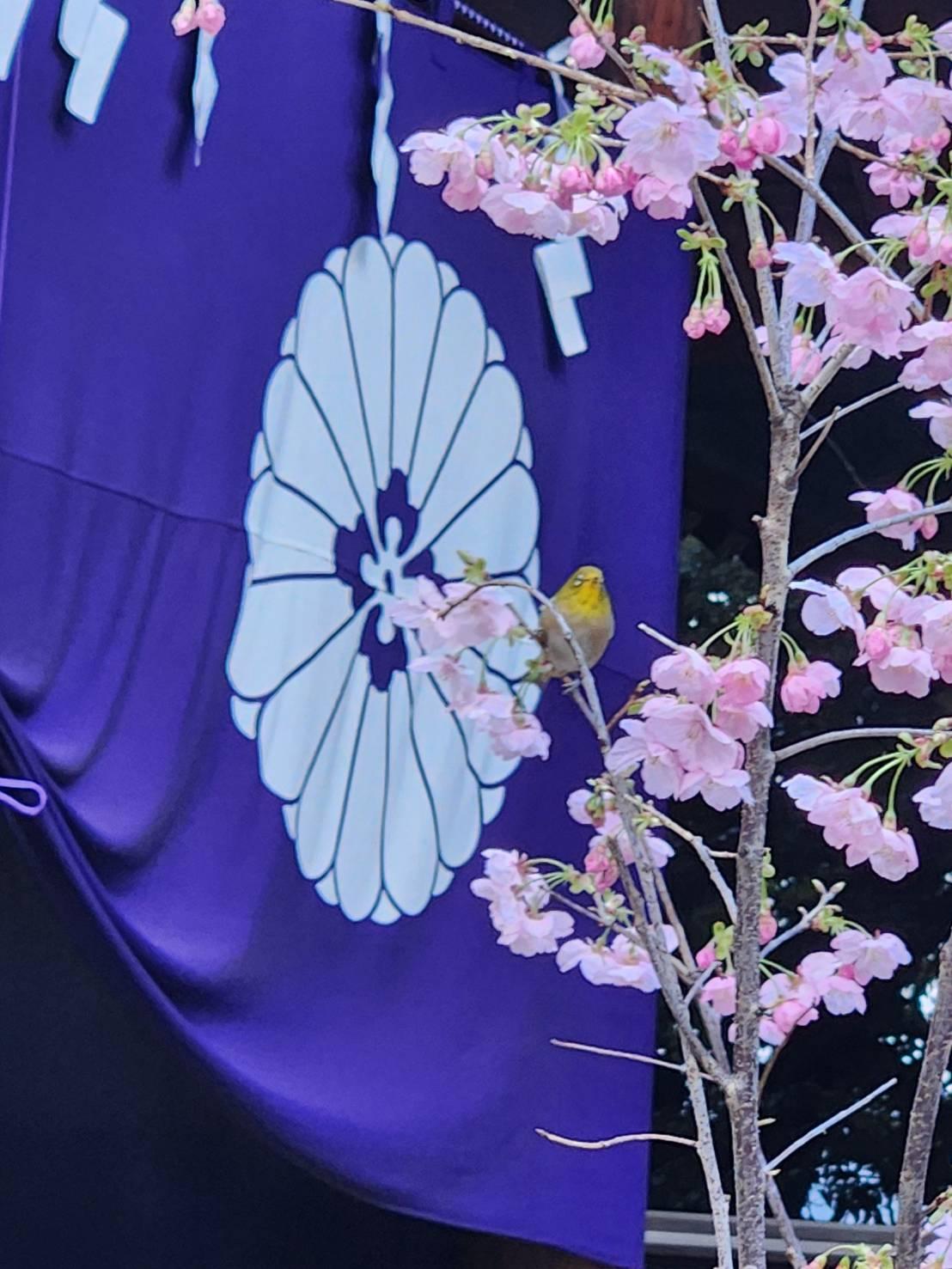 幸せを願って