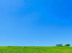 『今を愛するシンプルな生き方』