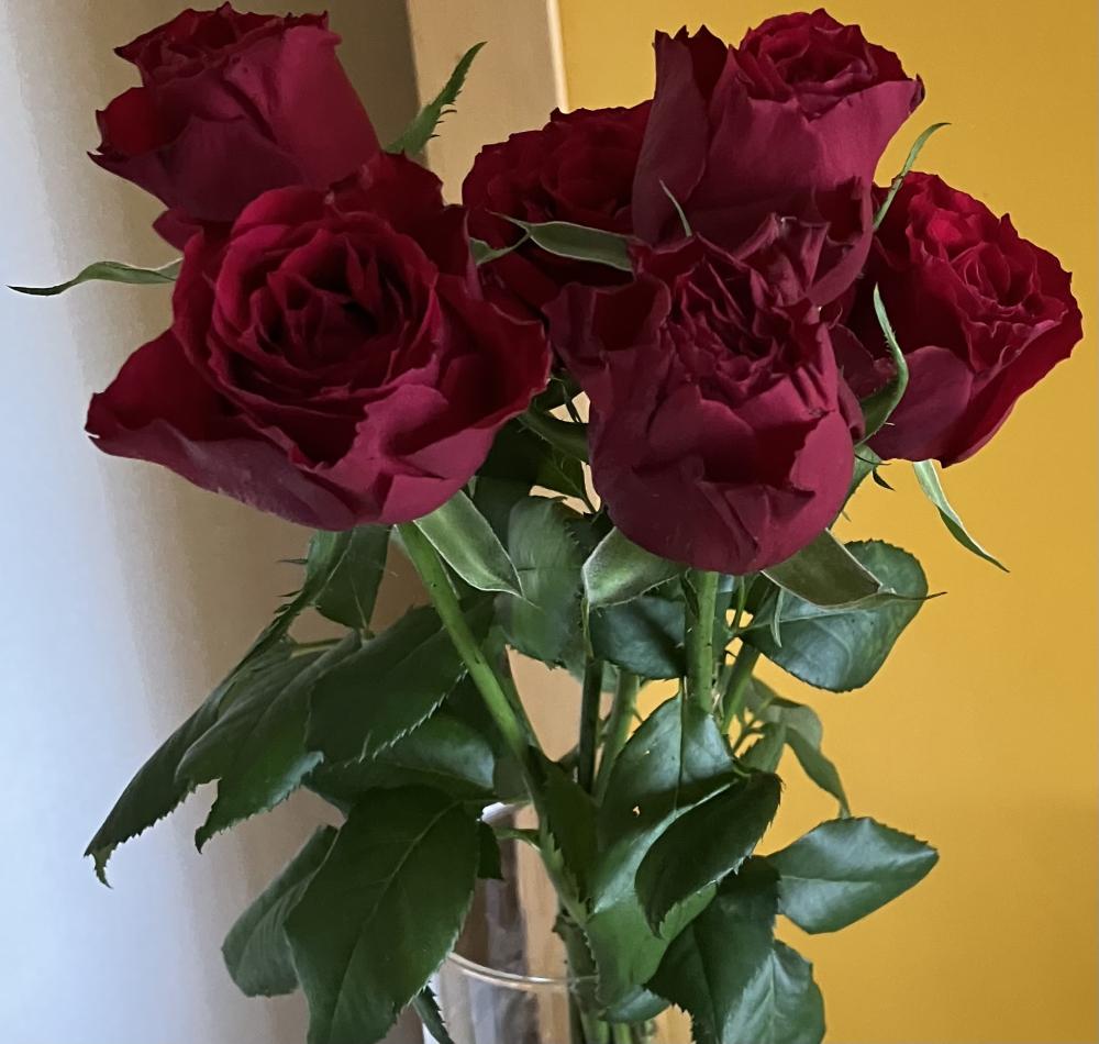 今のあなた、上手くいっていますか？