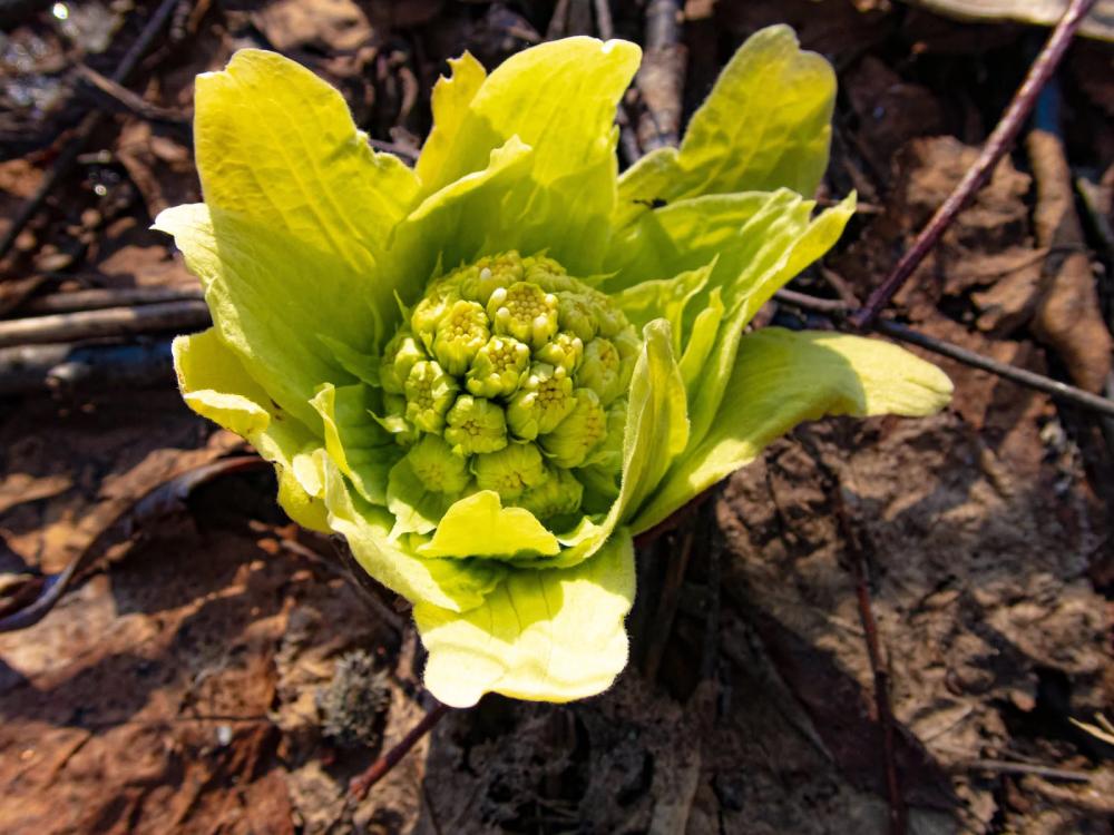 男が急に冷める女性の共通点　後編
