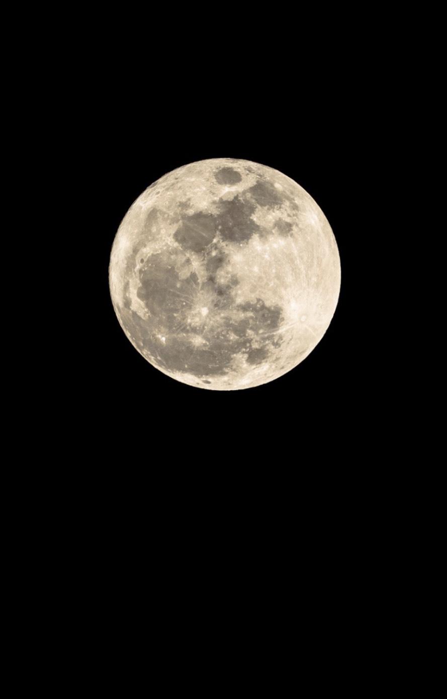 ビーバームーン