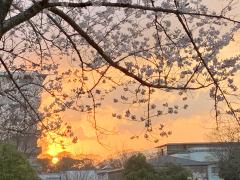 ピンクムーン！