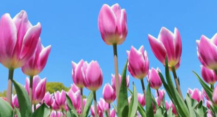 『発想の転換』