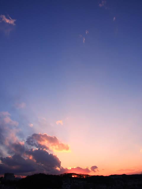 優しい世界に向かってゆく。