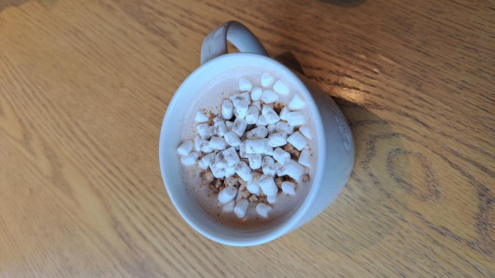 お久しぶりです(*^^*)