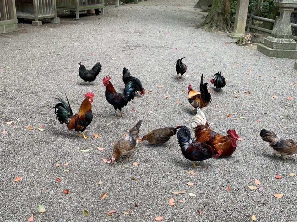 ライトワーカーとして生きる 1