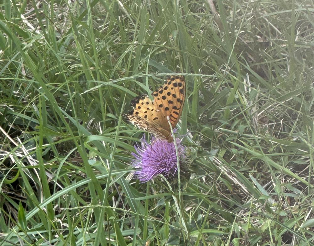 10月に入りましたねー。