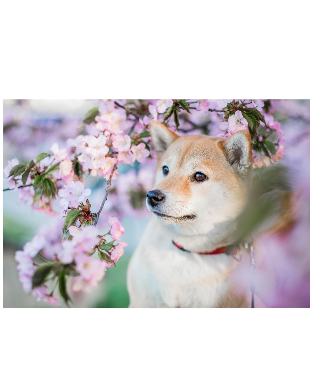 47.もう頑張れないと感じたとき