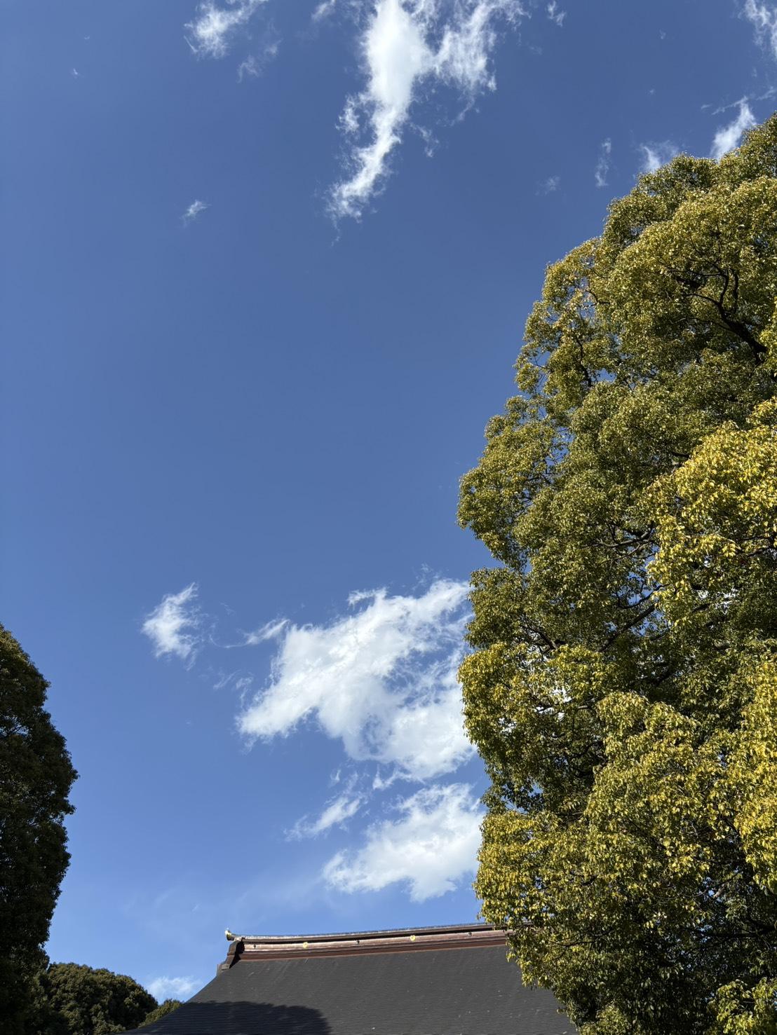 なんとなくこころが揺れるなと思う人へ