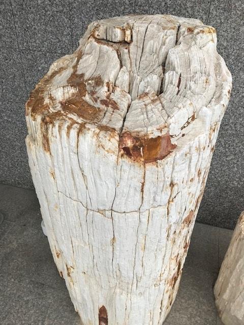ペリリファイド ウッド