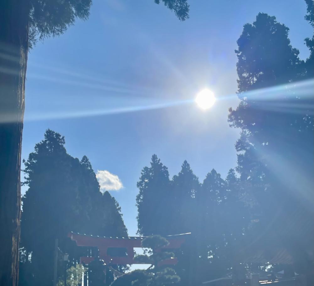 ツインレイからのツインソウル？！