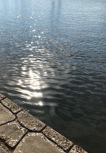 ７月２０日 海の日