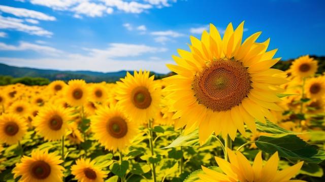 ３０年後の未来から