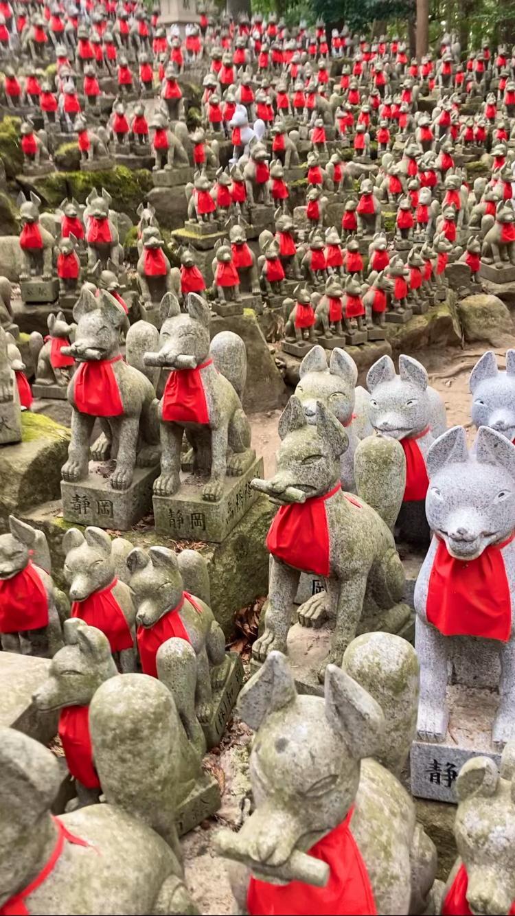 金運仕事運龍昇