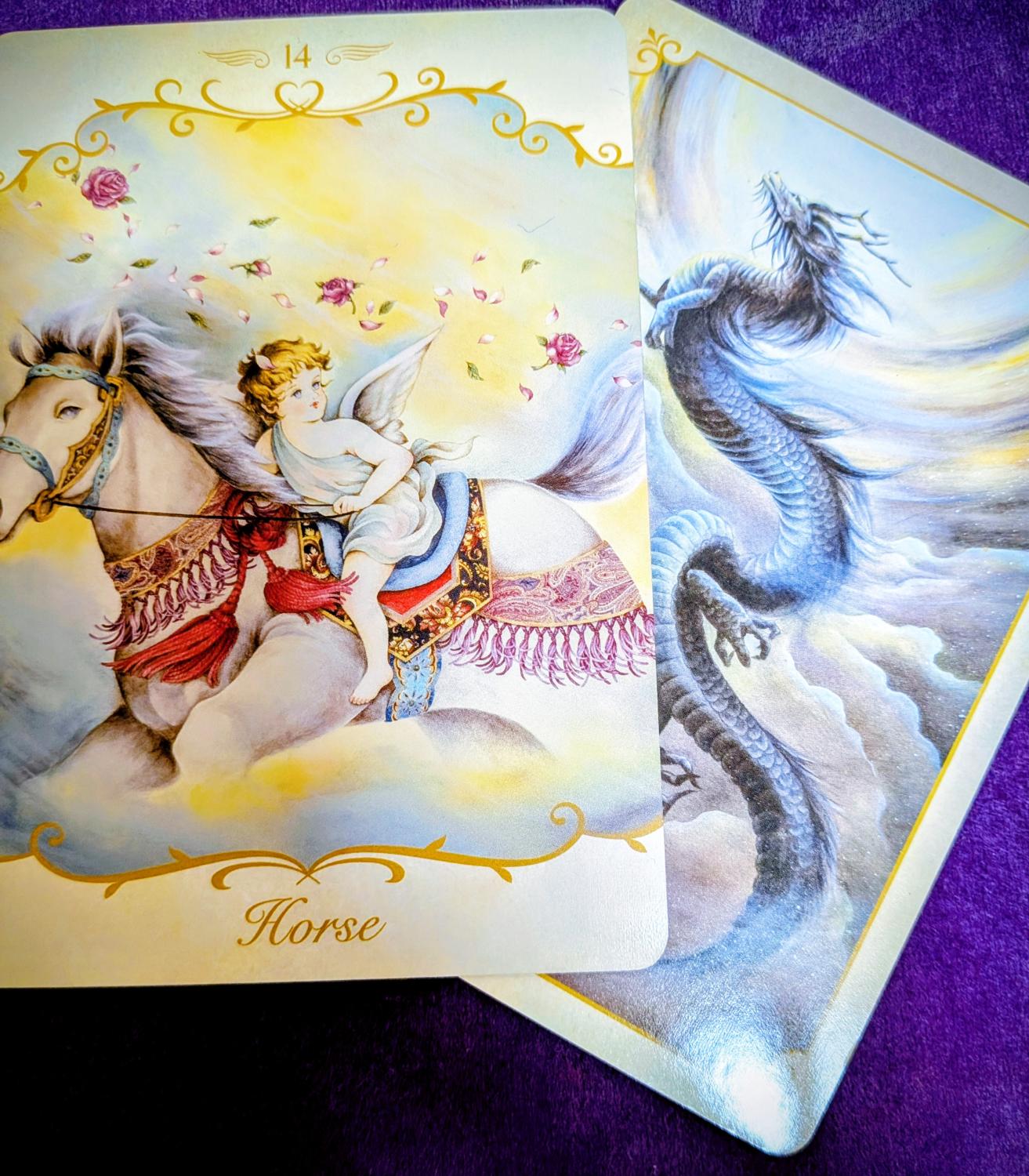 山羊座新月presents