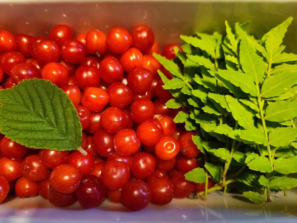 自分の周波数を整える