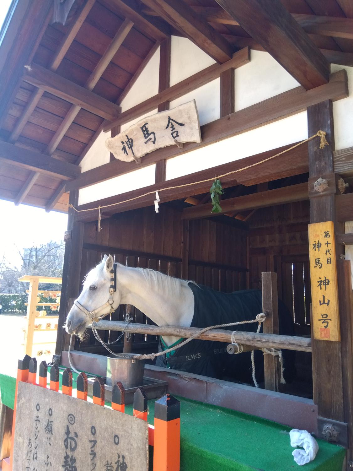 遅きながら明けましておめでとうございます